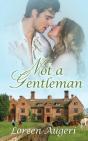 Not A Gentleman - Preview