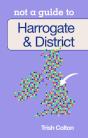 Not A Guide To: Harrogate And District - Preview
