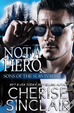 Capa do artigo Not A Hero
