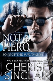 Capa do artigo Not A Hero