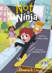 Capa do artigo Not A Ninja