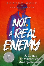 Not A Real Enemy