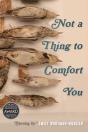 Not A Thing To Comfort You - Preview