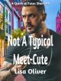 Not A Typical Meet-Cute - Preview