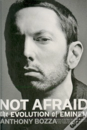 Capa do artigo Not Afraid