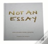 Not An Essay
