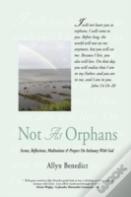 Not As Orphans