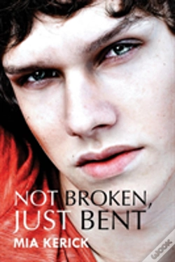 Capa do artigo Not Broken, Just Bent