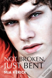 Capa do artigo Not Broken, Just Bent