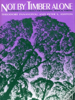 Capa do artigo Not By Timber Alone