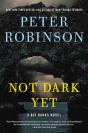 Not Dark Yet - Preview