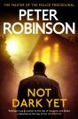 Not Dark Yet - Preview