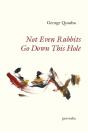 Not Even Rabbits Go Down This Hole - Preview