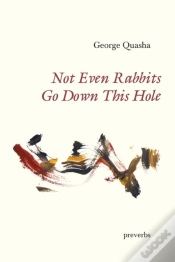 Capa do artigo Not Even Rabbits Go Down This Hole