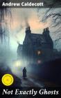 Not Exactly Ghosts - Preview