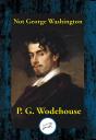 Not George Washington - Preview