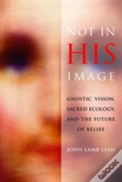 Capa do artigo Not In His Image