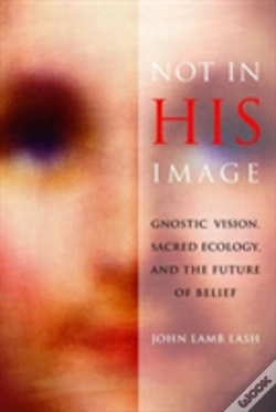 Capa do artigo Not In His Image