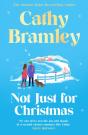 Not Just For Christmas - Preview
