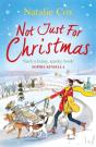 Not Just For Christmas - Preview