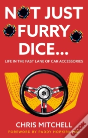 Capa do artigo Not Just Furry Dice