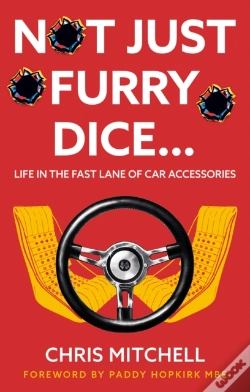 Capa do artigo Not Just Furry Dice