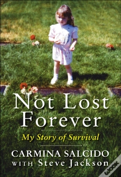 Capa do artigo Not Lost Forever