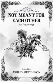 Capa do artigo Not Meant For Each Other
