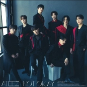 Capa do artigo Not Okay - CD