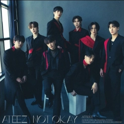 Capa do artigo Not Okay - CD