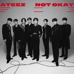 Capa do artigo Not Okay - CD