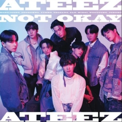 Capa do artigo Not Okay - CD