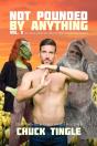 Not Pounded By Anything Vol. 2 - Preview