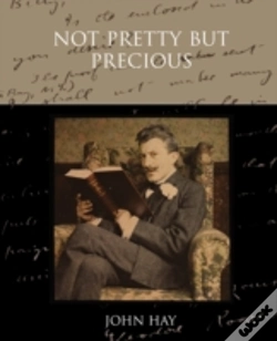 Capa do artigo Not Pretty But Precious