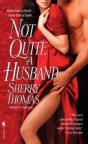 Not Quite A Husband - Preview