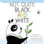 Not Quite Black And White - Preview