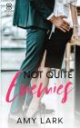 Not Quite Enemies - Preview