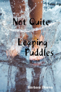 Not Quite Leaping Puddles - Preview