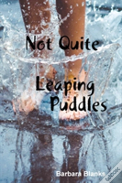 Capa do artigo Not Quite Leaping Puddles
