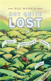 Capa do artigo Not Quite Lost