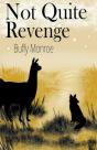 Not Quite Revenge - Preview