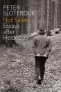 Not Saved - Preview
