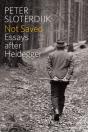 Not Saved - Preview