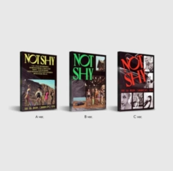 Capa do artigo Not Shy - CD