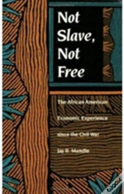 Capa do artigo Not Slave, Not Free