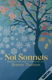 Capa do artigo Not Sonnets