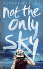 Not The Only Sky - Preview