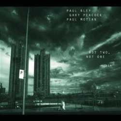 Capa do artigo Not Two, Not One - CD