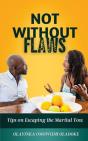 Not Without Flaws - Preview