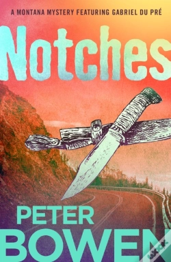 Capa do artigo Notches